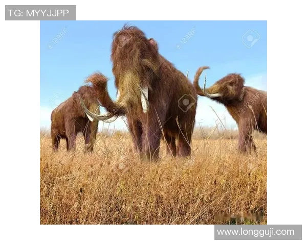 猛犸比赛-猛犸比赛，力量与荣耀的较量-猛犸比赛