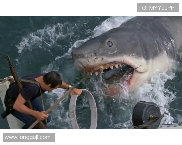 白鲨夺冠是哪场比赛-白鲨夺冠之路,揭秘赛场辉煌时刻-白鲨夺冠是哪场比赛 白鲨夺冠是哪场比赛-白鲨夺冠之路,揭秘赛场辉煌时刻-白鲨夺冠是哪场比赛